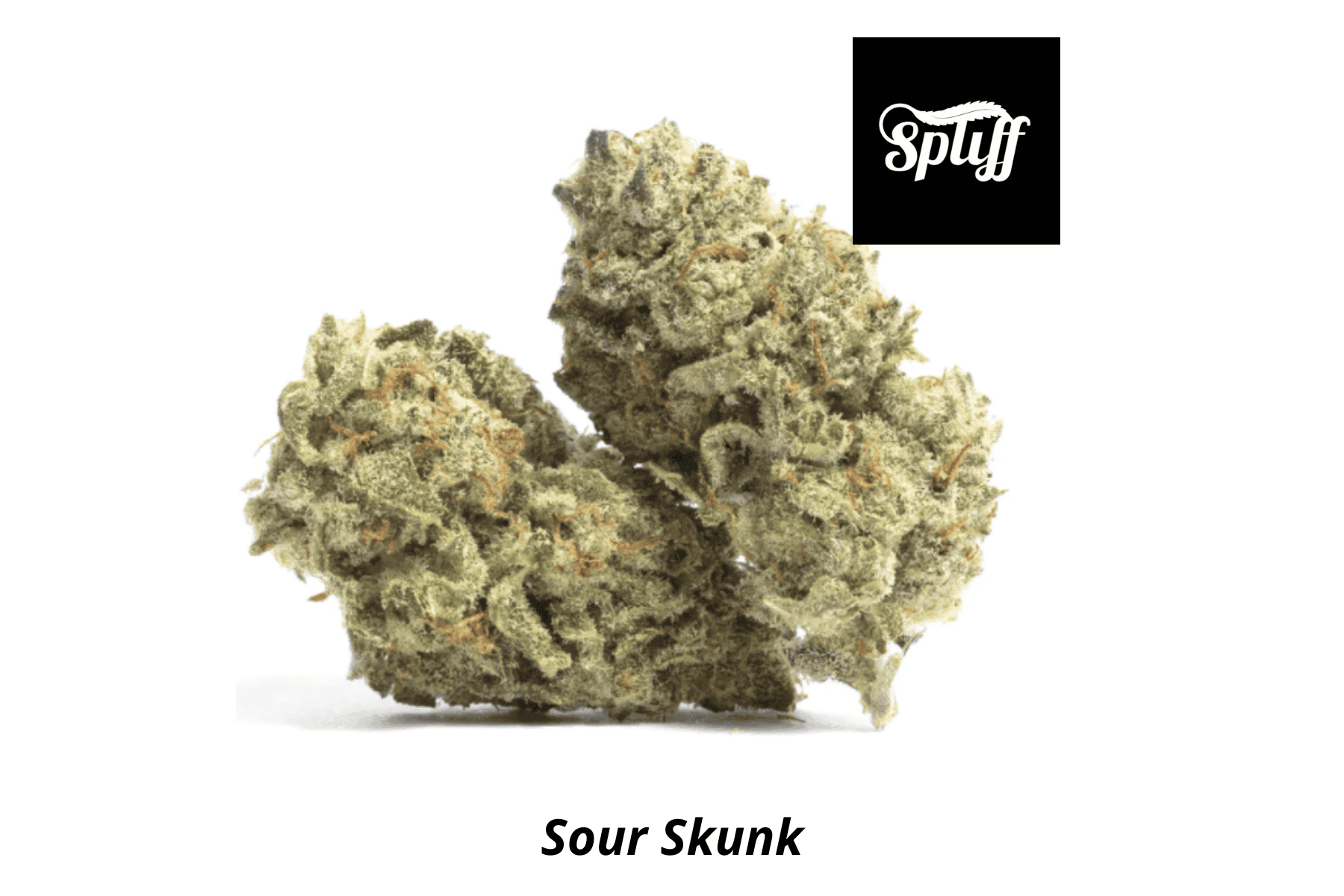 Fresh Sour Skunk cannabis buds for sale at Dispensary.