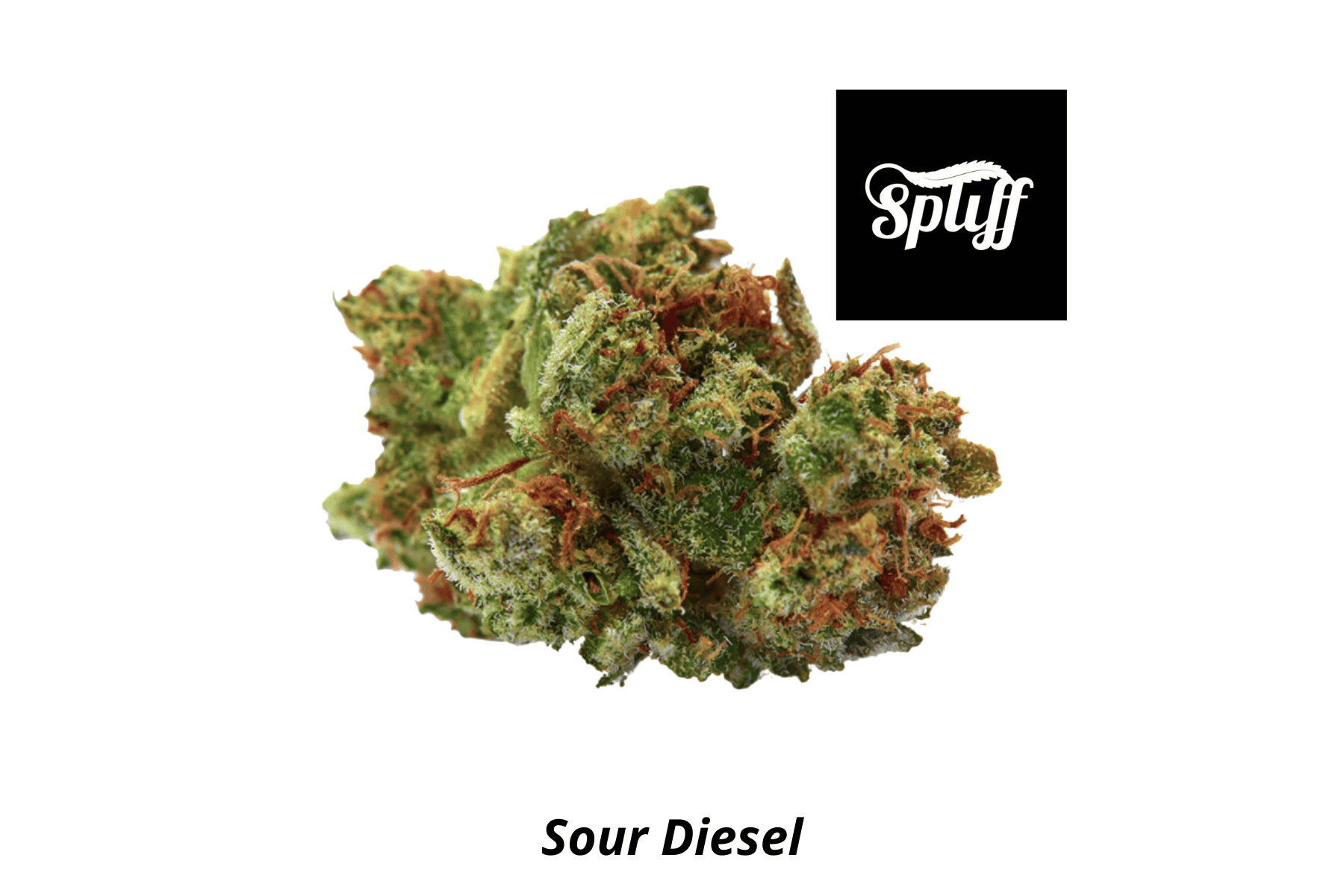 Fresh Sour Diesel cannabis bud with trichomes and vibrant green color.