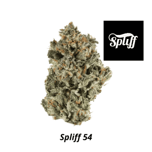 Spliff Dispensary in your selected city
