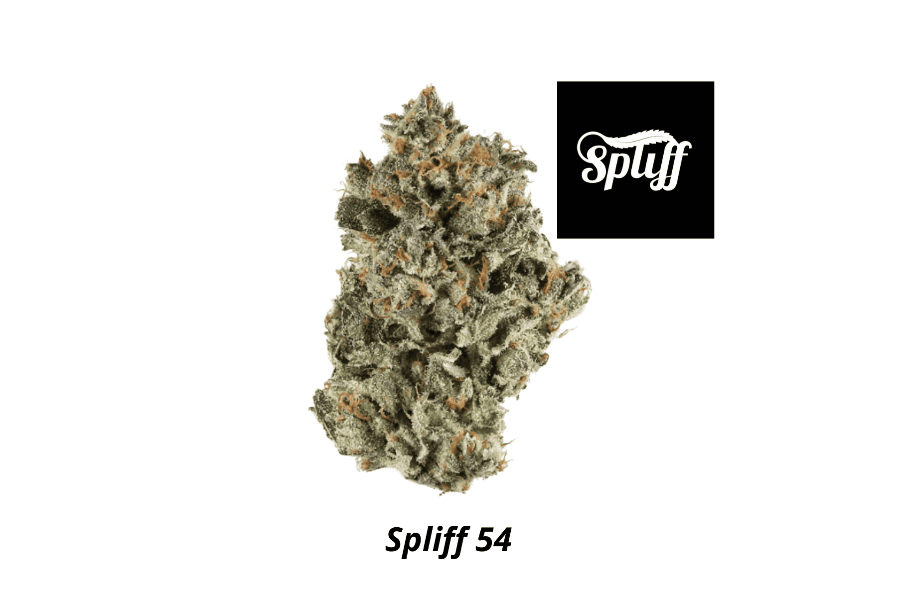 Spliff Dispensary in your selected city