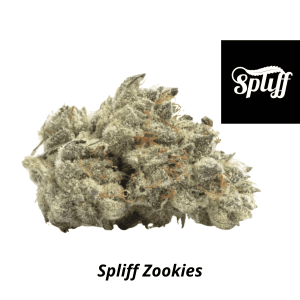 Close-up of a cannabis Zookies strain bud at Spliff Nation Dispensary dispensary.