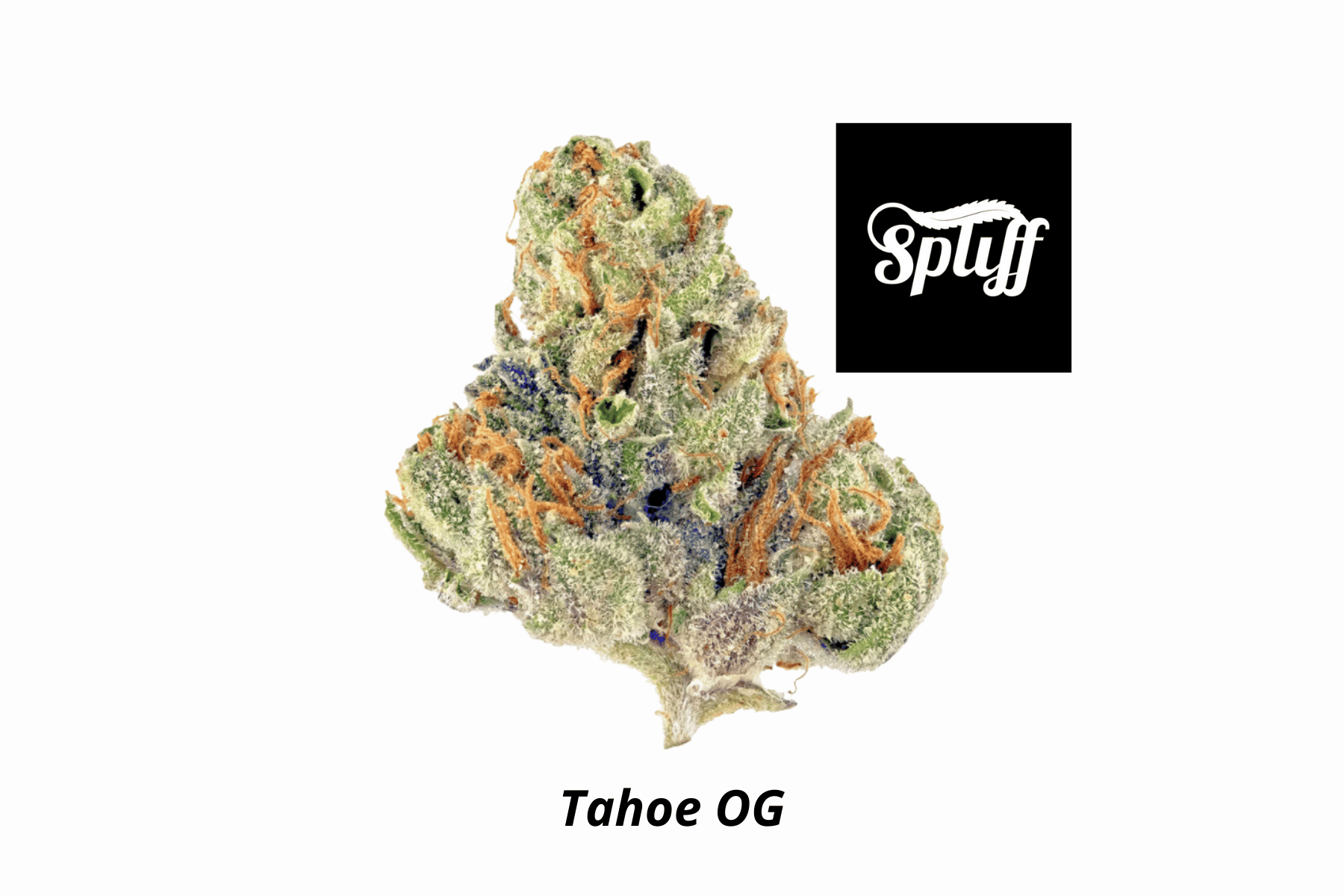 Close-up of Tahoe OG cannabis bud at Spliff Nation Dispensary.