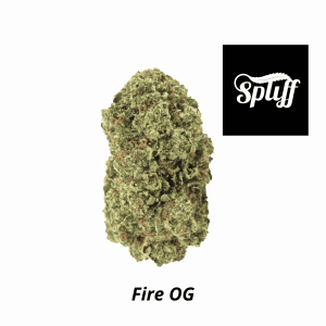 High-quality Fire OG cannabis bud at Spliff Nation Dispensary.