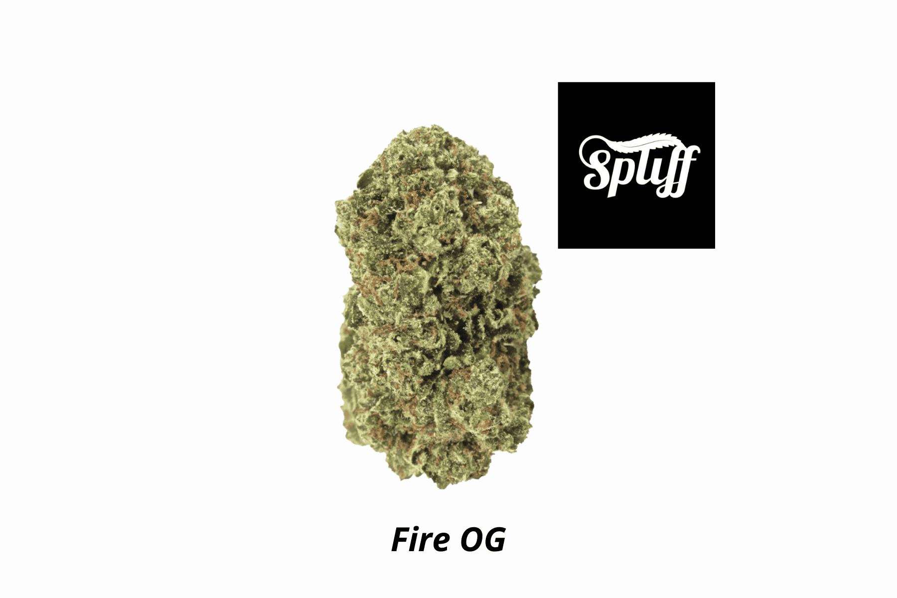 High-quality Fire OG cannabis bud at Spliff Nation Dispensary.
