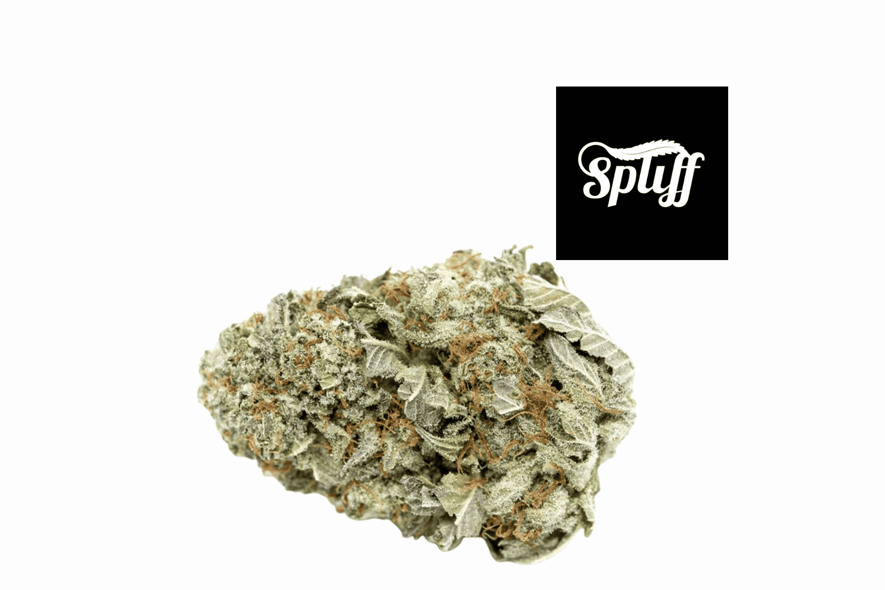 High-quality cannabis flower for sale at Spliff Nation Dispensary in DC.