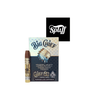 Premium Big Chief cannabis cartridge with Native American design and high potency.