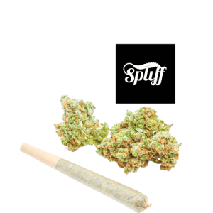 Cannabis buds and pre-roll at Spliff Nation Dispensary, your selected city.
