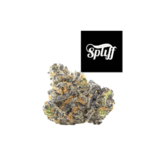 This Cannabis Product now available at Spliff Nation Dispensary Dispensaries in your selected city