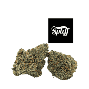 Premium cannabis buds at Spliff Nation Dispensary dispensary in your selected city.
