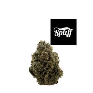 Premium cannabis bud at Spliff Nation Dispensary in your selected city.