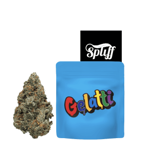 Gelatti cannabis flower with dispensary packaging at Spliff Nation Dispensary.