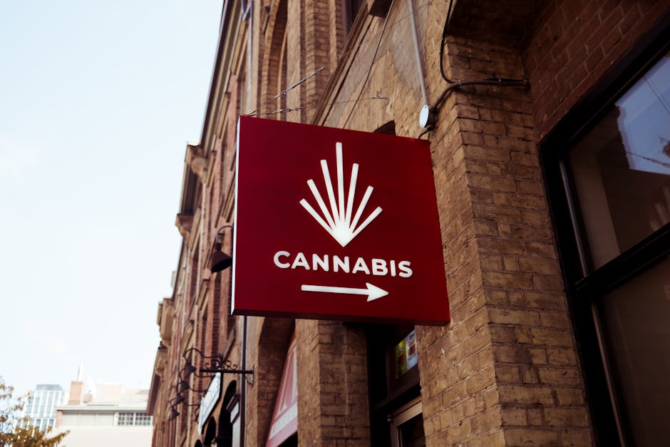 Exploring the Best Dispensary in DC for Your Needs