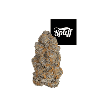 Premium cannabis bud from Spliff Nation Dispensary in DC.
