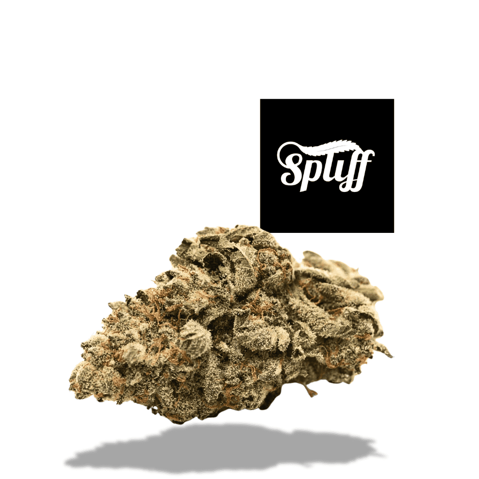 Close-up of cannabis bud at Spliff Nation Dispensary dispensary, high-quality marijuana flower.