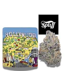 Cookies Hollywood premium flower 3.5g at Spliff Nation Dispensary in your selected city