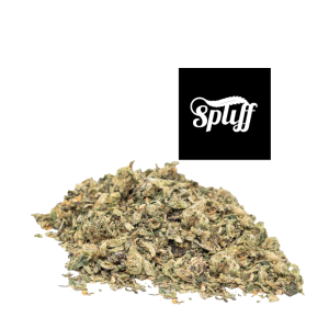 Blue Dream Shake hybrid cannabis flower at Spliff Nation Dispensary in your selected city