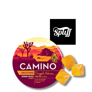 Kiva Camino Uplifting Pineapple Habanero Gummies 100mg THC cannabis gummies with tropical pineapple and mild spice flavor in your selected city