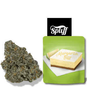 Margarita bar by lemonnade weed strain 3.5g premium cannabis flower by Cookies at Spliff Nation Dispensary in your selected city
