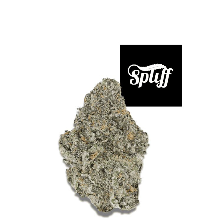 Permanent Marker hybrid cannabis flower 34.3% THC premium exotic bud from Spliff Dispensary your selected city